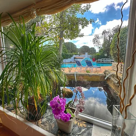 Mas M - D'exception - Piscine - Jeux Enfants - Bbq - Plancha - Cheminee - Calme - 5 - Sudsejourconciergerie Perpignan