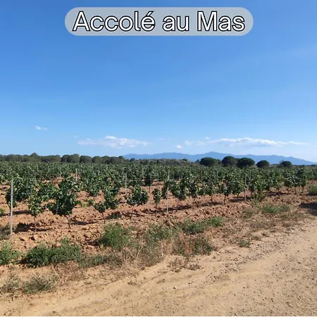 Mas M - D'exception - Piscine - Jeux Enfants - Bbq - Plancha - Cheminee - Calme - 5 - Sudsejourconciergerie Villa