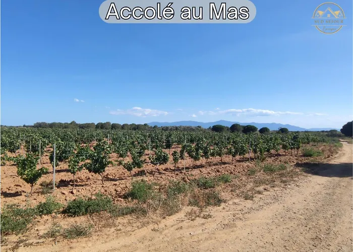 Mas M - D'exception - Piscine - Jeux Enfants - Bbq - Plancha - Cheminee - Calme - 5 - Sudsejourconciergerie Villa